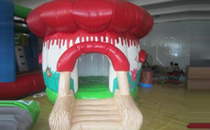 Mushroom House