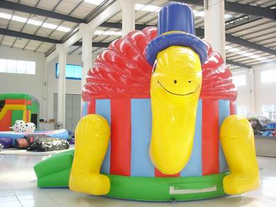 Inflatable Bouncer