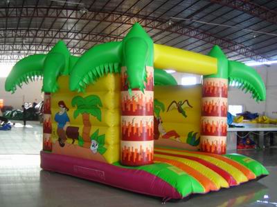 Inflatable Bouncer