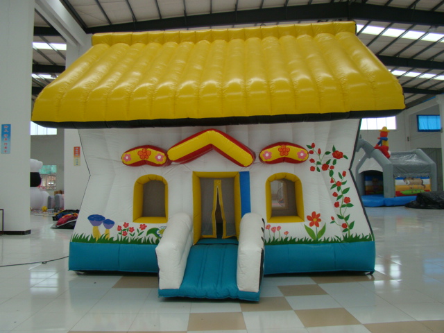 Inflatable Bouncer