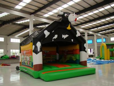 Inflatable Bouncer