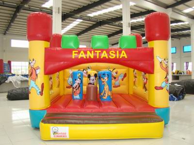 Inflatable Bouncer