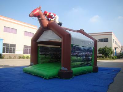 Inflatable Bouncer