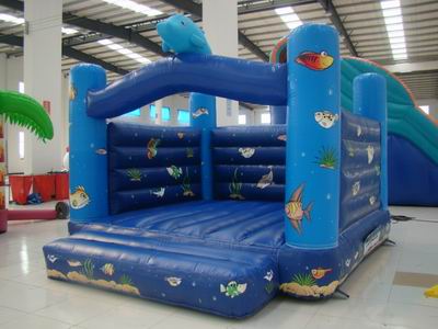 Inflatable Bouncer