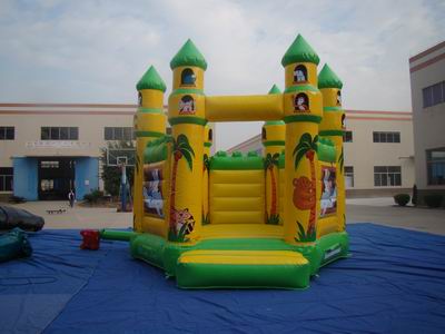 Inflatable Bouncer