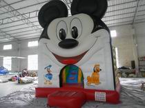 Inflatable Bouncer