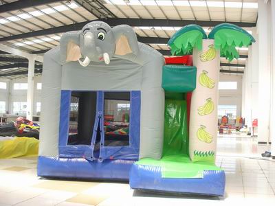 Inflatable Combo
