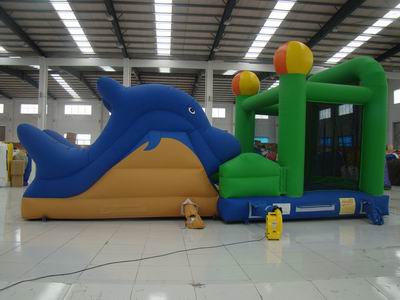 Inflatable Combo