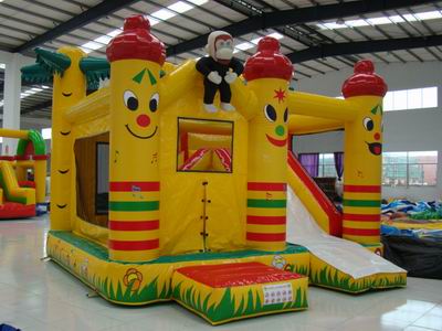 Inflatable Combo