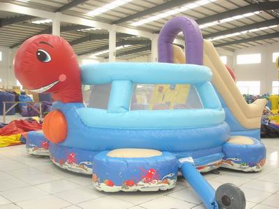 Inflatable Combo