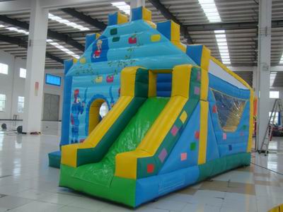 Inflatable Combo