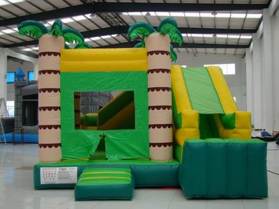 Inflatable Combo