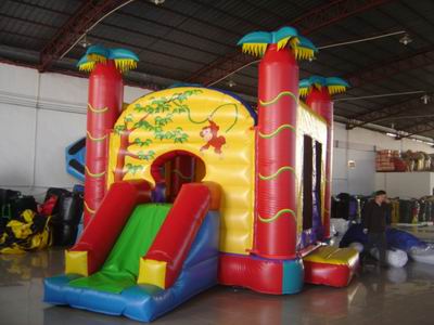 Inflatable Combo