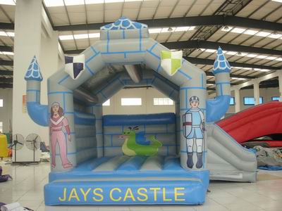Inflatable Combo