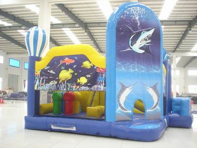 Inflatable Combo